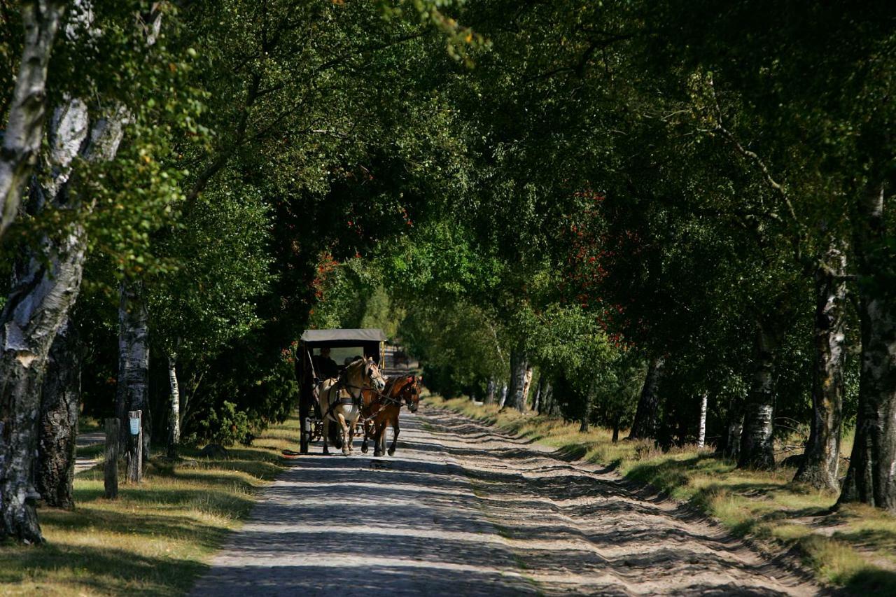 Garbers-Hof Leilighet Undeloh Eksteriør bilde