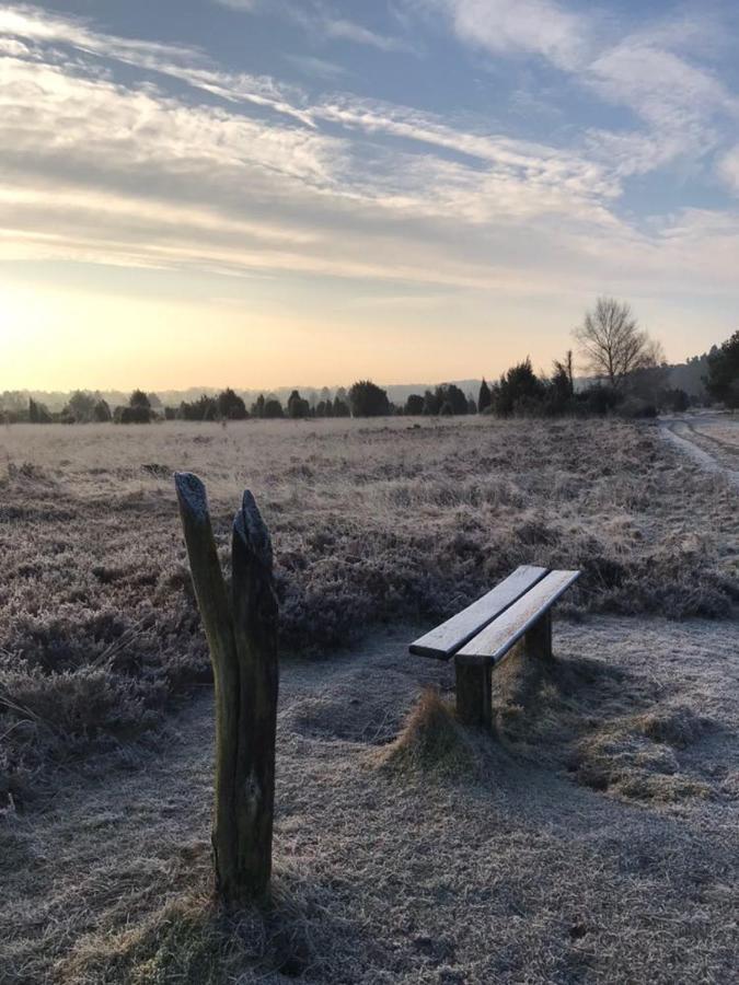 Garbers-Hof Leilighet Undeloh Eksteriør bilde